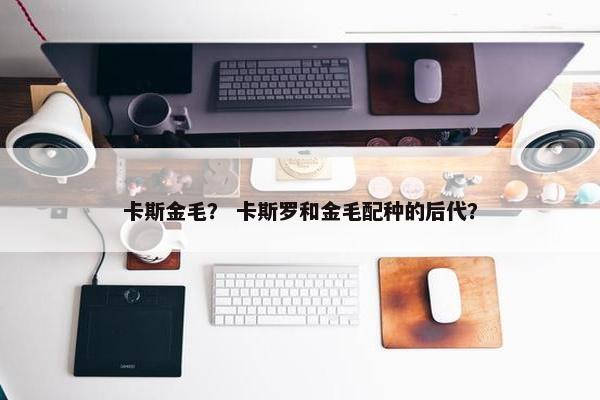 卡斯金毛？ 卡斯罗和金毛配种的后代？