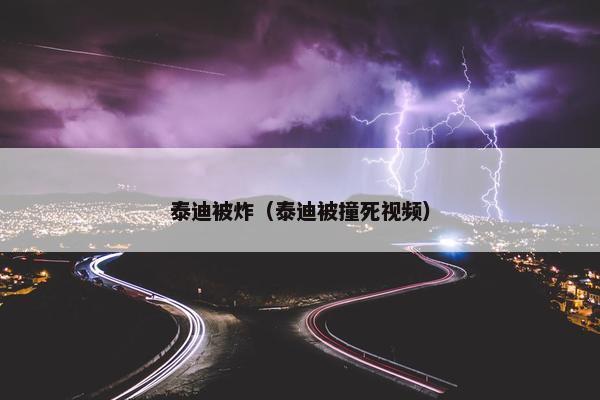 泰迪被炸（泰迪被撞死视频）