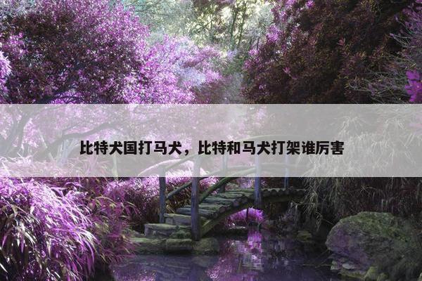 比特犬国打马犬，比特和马犬打架谁厉害