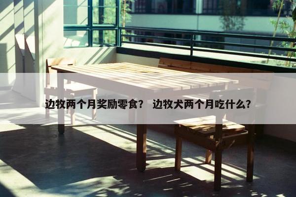 边牧两个月奖励零食？ 边牧犬两个月吃什么？