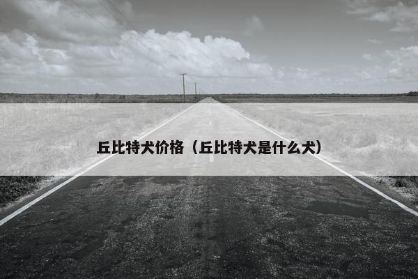 丘比特犬价格（丘比特犬是什么犬）