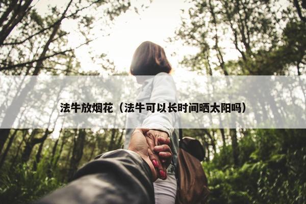 法牛放烟花（法牛可以长时间晒太阳吗）