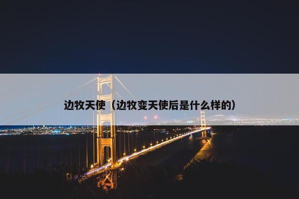 边牧天使（边牧变天使后是什么样的）