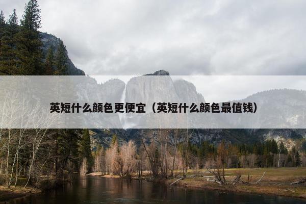 英短什么颜色更便宜（英短什么颜色最值钱）