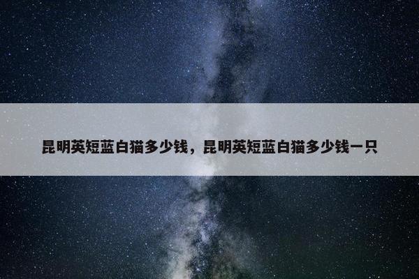 昆明英短蓝白猫多少钱，昆明英短蓝白猫多少钱一只