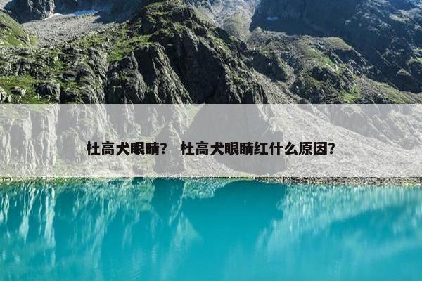 杜高犬眼睛？ 杜高犬眼睛红什么原因？