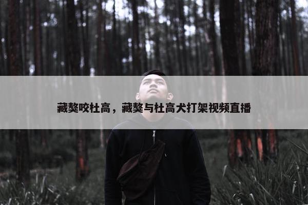 藏獒咬杜高，藏獒与杜高犬打架视频直播