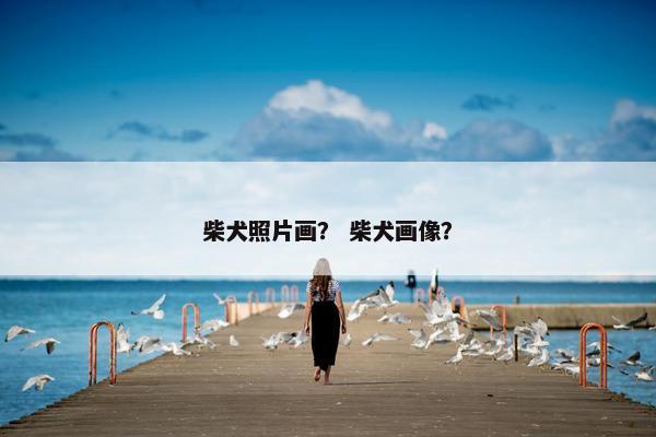 柴犬照片画？ 柴犬画像？