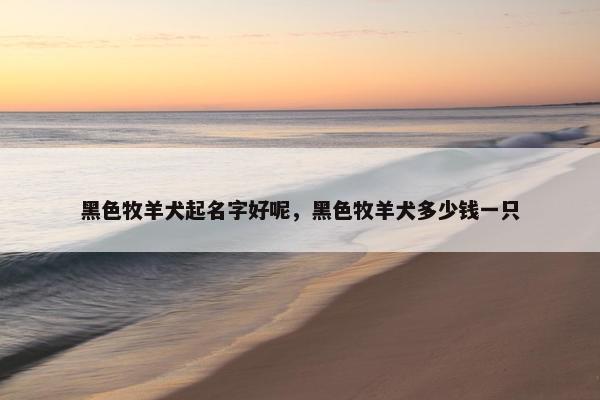 黑色牧羊犬起名字好呢，黑色牧羊犬多少钱一只