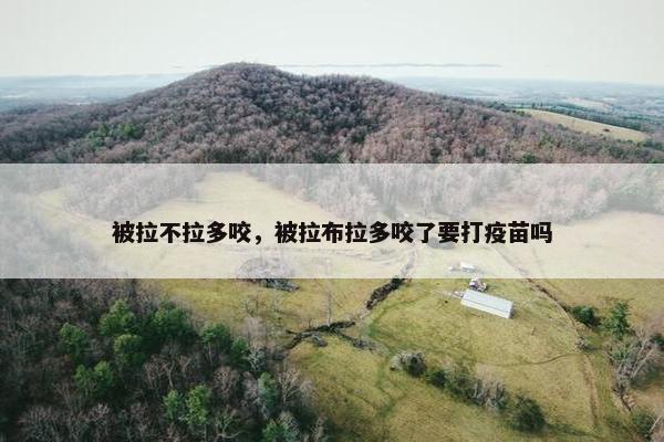 被拉不拉多咬，被拉布拉多咬了要打疫苗吗
