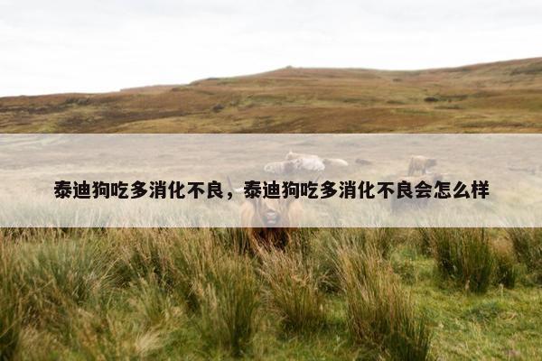 泰迪狗吃多消化不良，泰迪狗吃多消化不良会怎么样