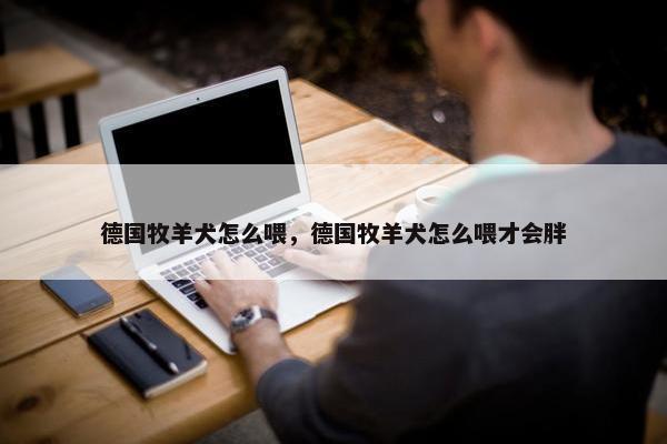 德国牧羊犬怎么喂，德国牧羊犬怎么喂才会胖