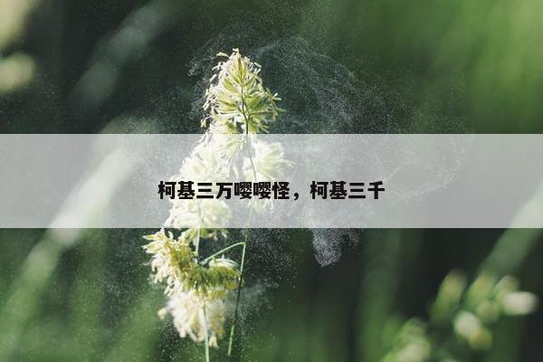 柯基三万嘤嘤怪，柯基三千