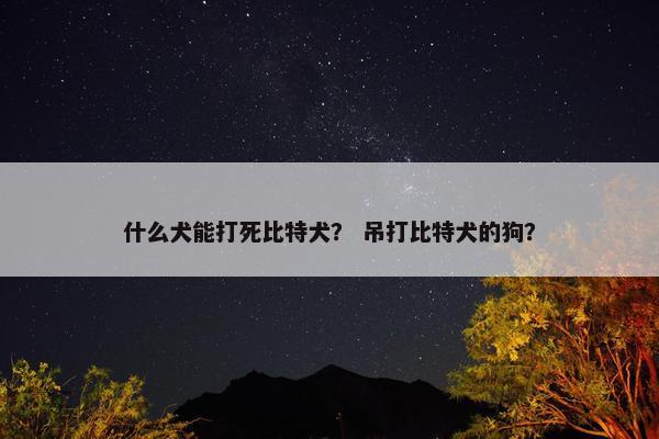 什么犬能打死比特犬？ 吊打比特犬的狗？