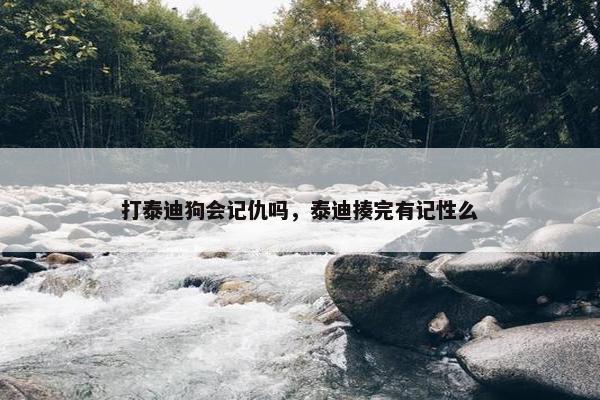打泰迪狗会记仇吗，泰迪揍完有记性么