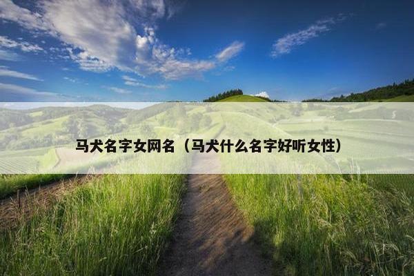 马犬名字女网名（马犬什么名字好听女性）