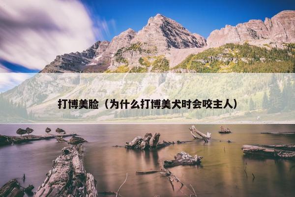 打博美脸（为什么打博美犬时会咬主人）
