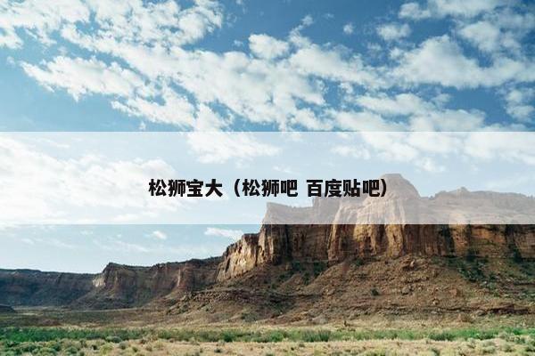 松狮宝大（松狮吧 百度贴吧）
