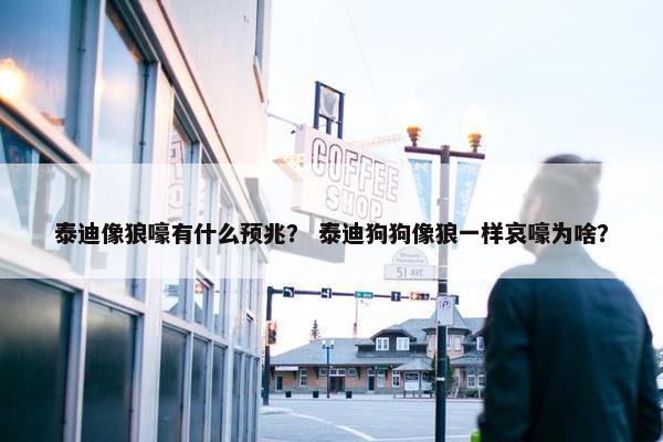 泰迪像狼嚎有什么预兆？ 泰迪狗狗像狼一样哀嚎为啥？