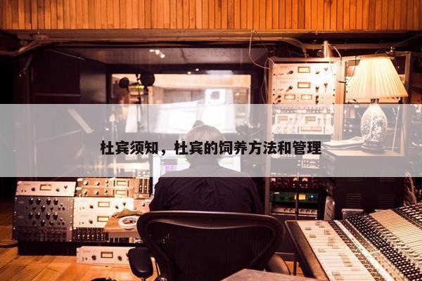 杜宾须知，杜宾的饲养方法和管理