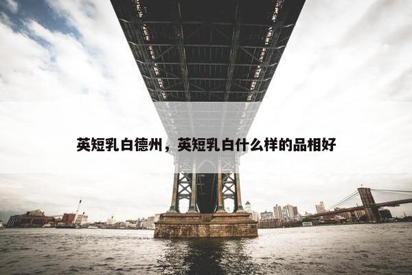 英短乳白德州，英短乳白什么样的品相好