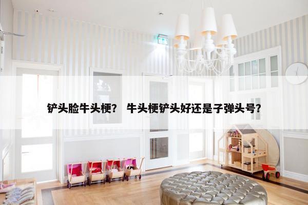 铲头脸牛头梗？ 牛头梗铲头好还是子弹头号？