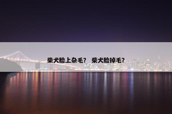 柴犬脸上杂毛？ 柴犬脸掉毛？