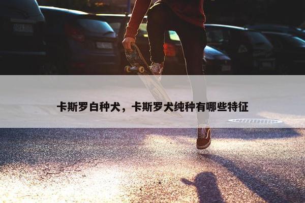 卡斯罗白种犬，卡斯罗犬纯种有哪些特征