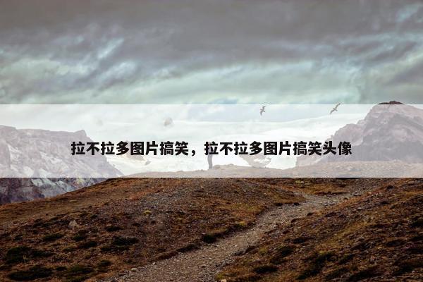 拉不拉多图片搞笑，拉不拉多图片搞笑头像