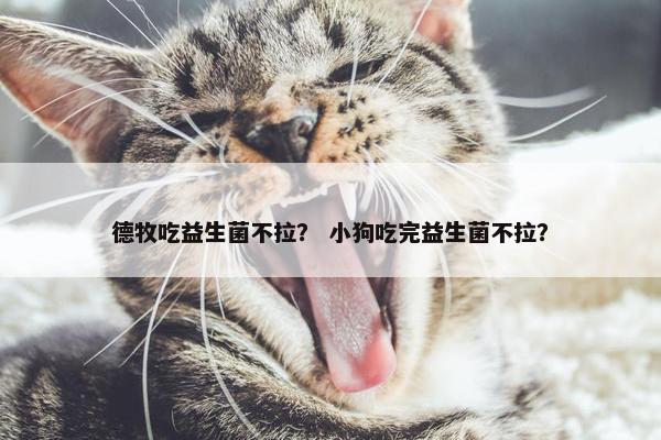 德牧吃益生菌不拉？ 小狗吃完益生菌不拉？