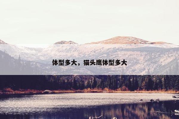 体型多大，猫头鹰体型多大