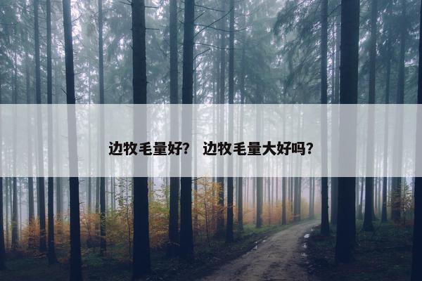 边牧毛量好？ 边牧毛量大好吗？