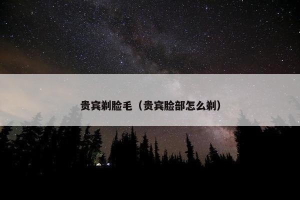 贵宾剃脸毛（贵宾脸部怎么剃）
