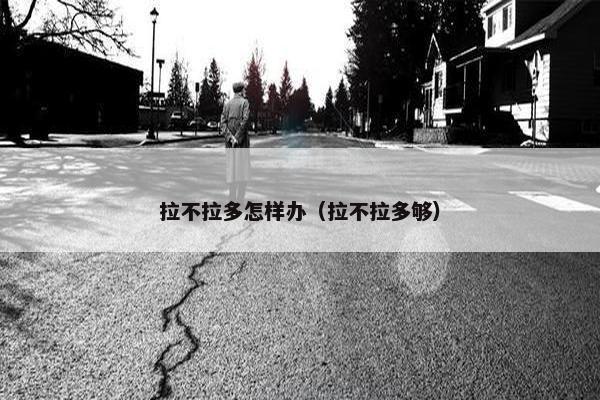 拉不拉多怎样办（拉不拉多够）