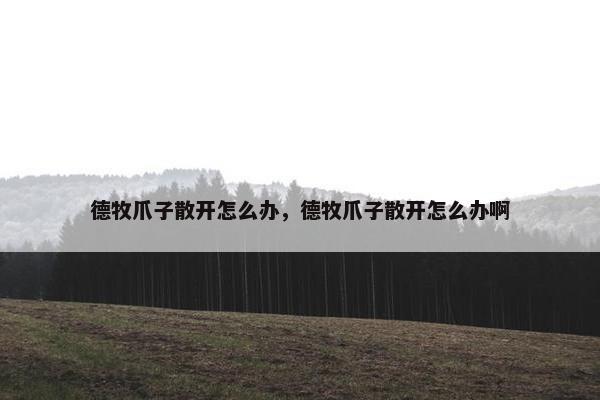 德牧爪子散开怎么办，德牧爪子散开怎么办啊