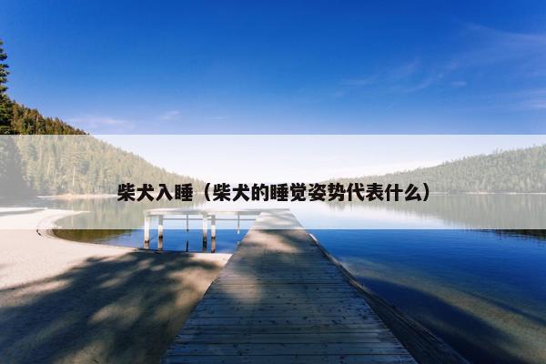 柴犬入睡（柴犬的睡觉姿势代表什么）
