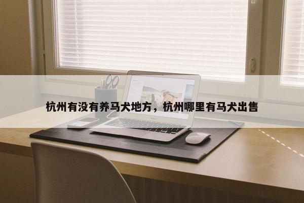 杭州有没有养马犬地方，杭州哪里有马犬出售