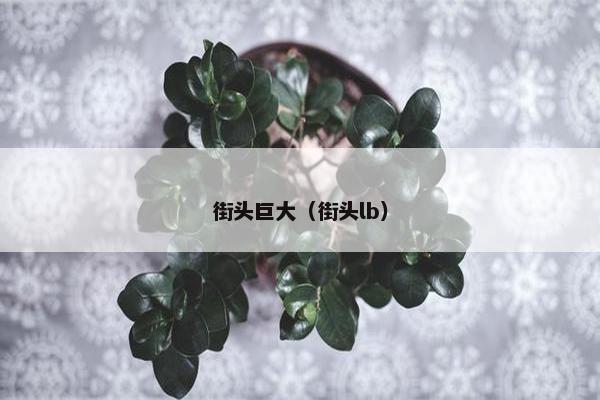 街头巨大（街头lb）
