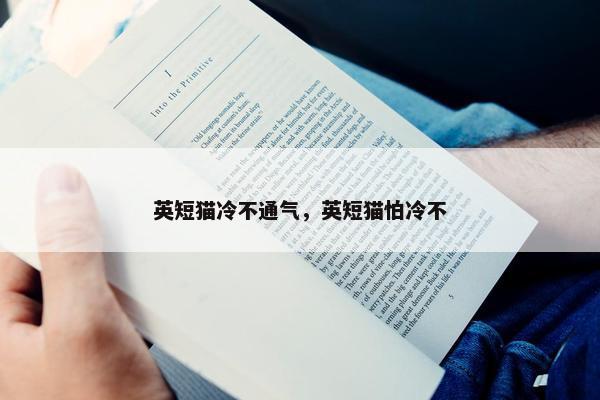 英短猫冷不通气，英短猫怕冷不