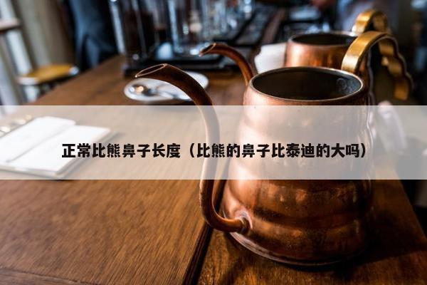 正常比熊鼻子长度（比熊的鼻子比泰迪的大吗）