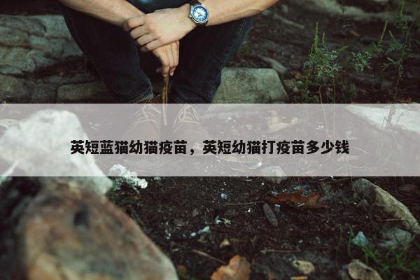 英短蓝猫幼猫疫苗，英短幼猫打疫苗多少钱