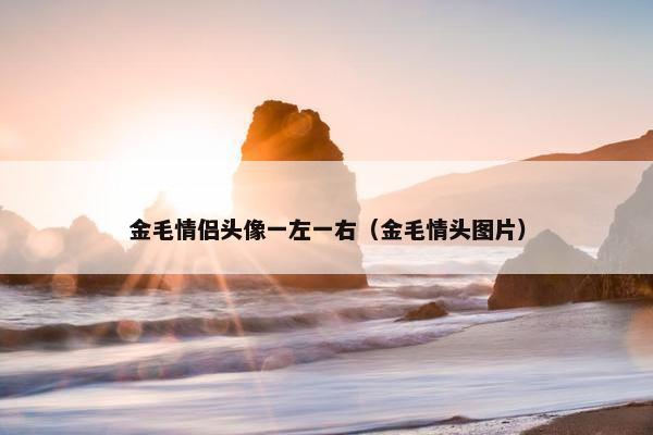 金毛情侣头像一左一右（金毛情头图片）