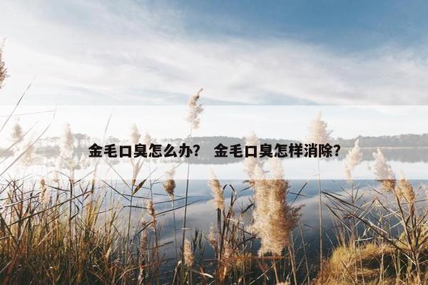 金毛口臭怎么办？ 金毛口臭怎样消除？
