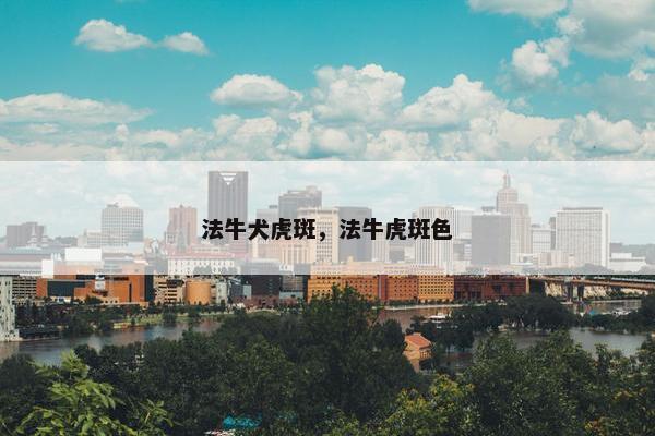 法牛犬虎斑，法牛虎斑色