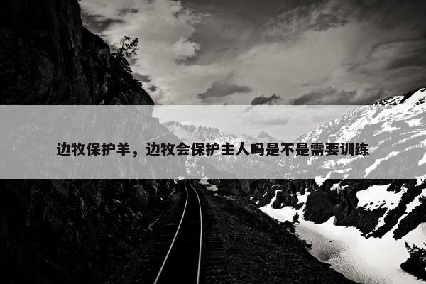 边牧保护羊，边牧会保护主人吗是不是需要训练