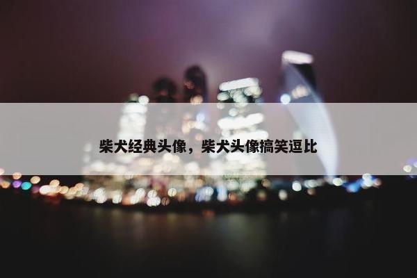 柴犬经典头像，柴犬头像搞笑逗比