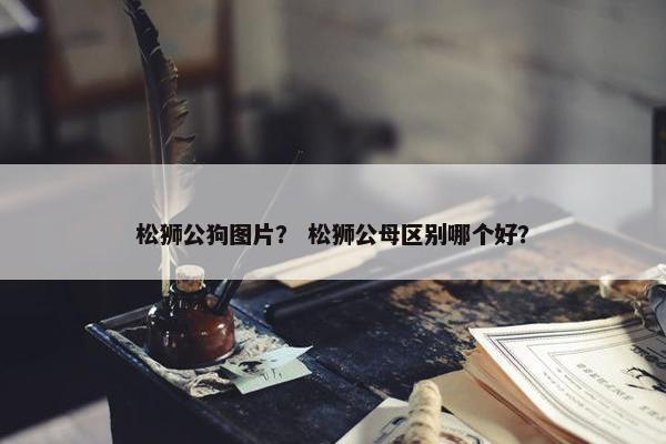 松狮公狗图片？ 松狮公母区别哪个好？