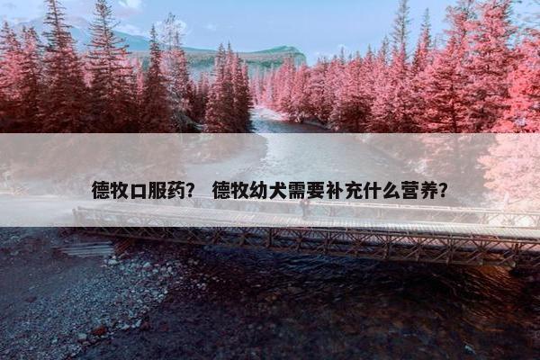 德牧口服药？ 德牧幼犬需要补充什么营养？