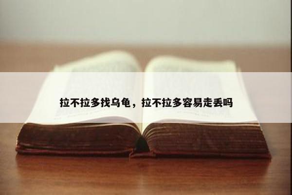 拉不拉多找乌龟，拉不拉多容易走丢吗