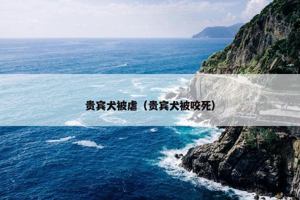 贵宾犬被虐（贵宾犬被咬死）